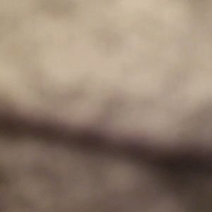 Meet your Posher, Jade